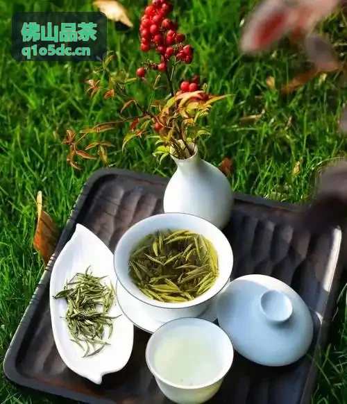 佛山品茶茶空间选择踩雷